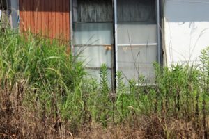 ゴミ屋敷状態も対応！長野県内の空き家の片付け・整理は片付けオンラインにお任せ！