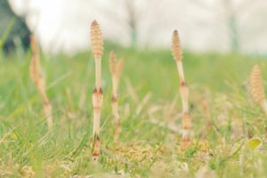 間もなく春開幕！春に向けてお部屋の片付けや不用品処分を！