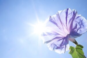 梅雨時期ですね。夏が始まる前にお部屋の整理整頓・片付けや不用品処分で涼しいサマーライフを！