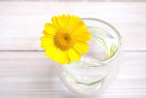 【最短最速対応可能】長野県松本市の不用品回収業者と言えば片付けオンラインがオススメ